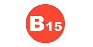 Витамин В15